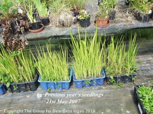 16 Previous years sdgs 21.5.2007